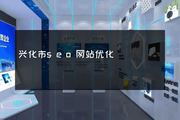 兴化市seo网站优化