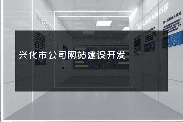 兴化市公司网站建设开发