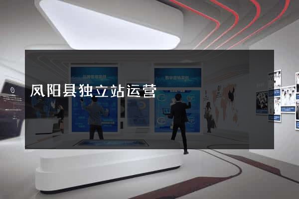 凤阳县独立站运营
