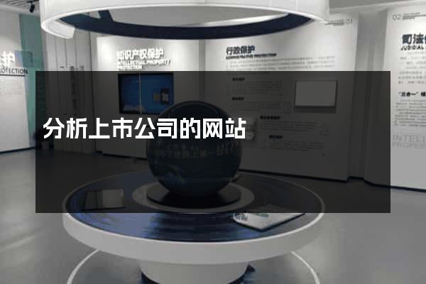 分析上市公司的网站