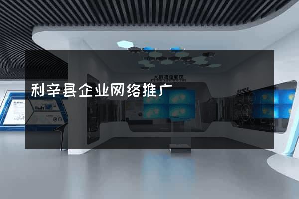 利辛县企业网络推广