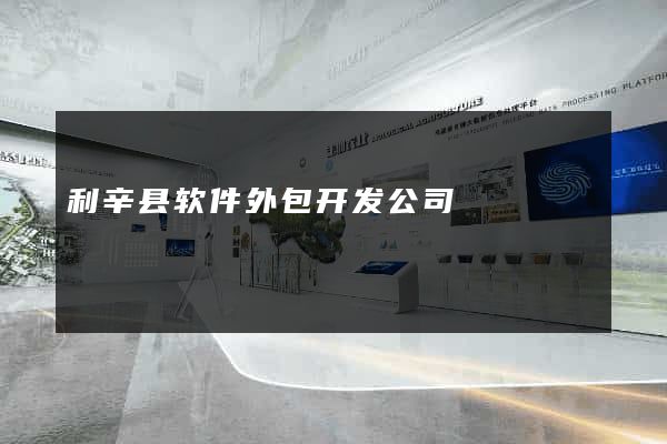利辛县软件外包开发公司