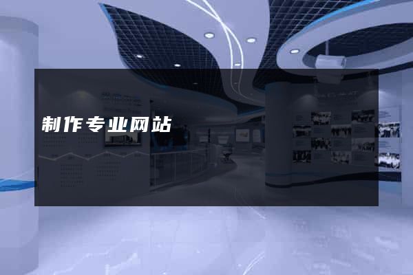 制作专业网站