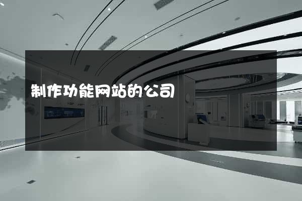 制作功能网站的公司