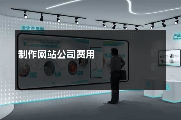 制作网站公司费用
