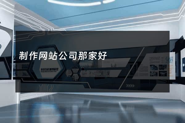 制作网站公司那家好