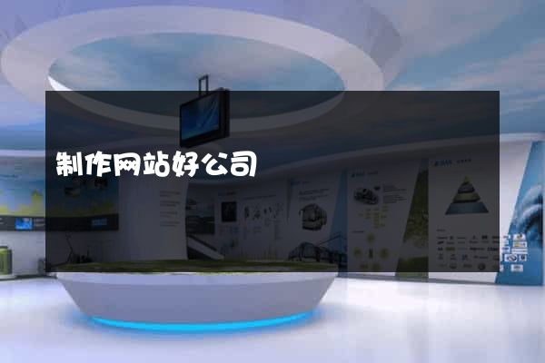 制作网站好公司