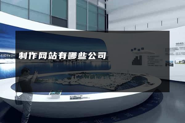 制作网站有哪些公司