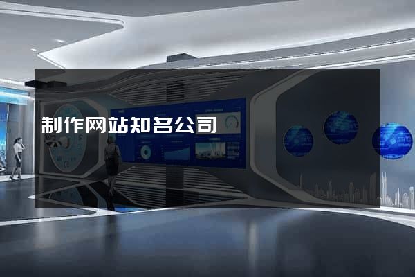 制作网站知名公司