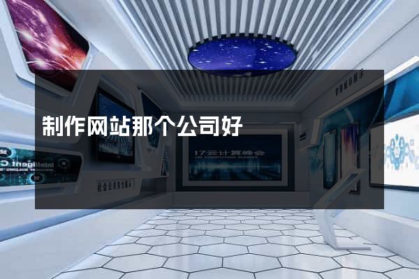 制作网站那个公司好