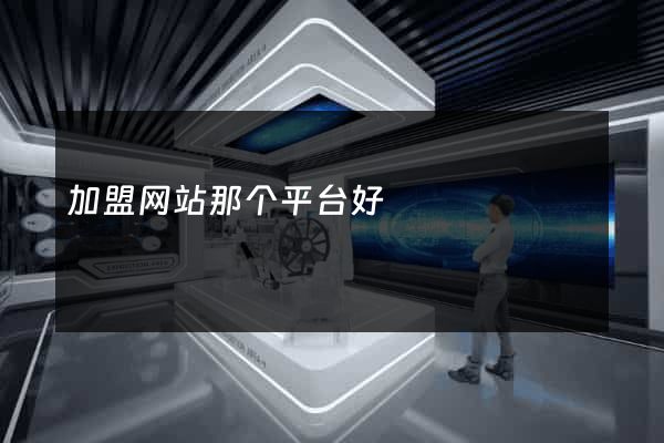 加盟网站那个平台好
