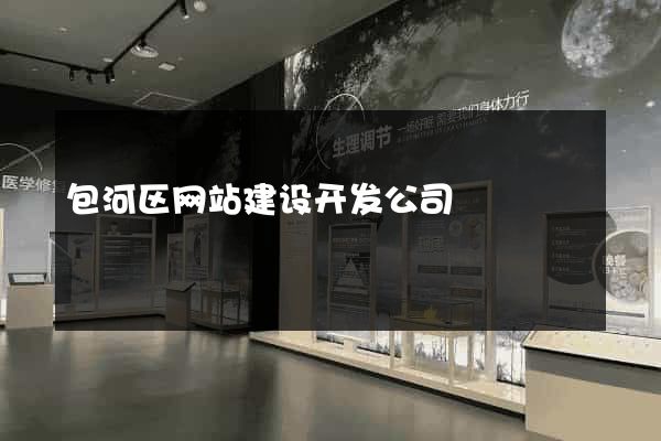 包河区网站建设开发公司