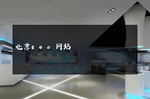 北京seo网站