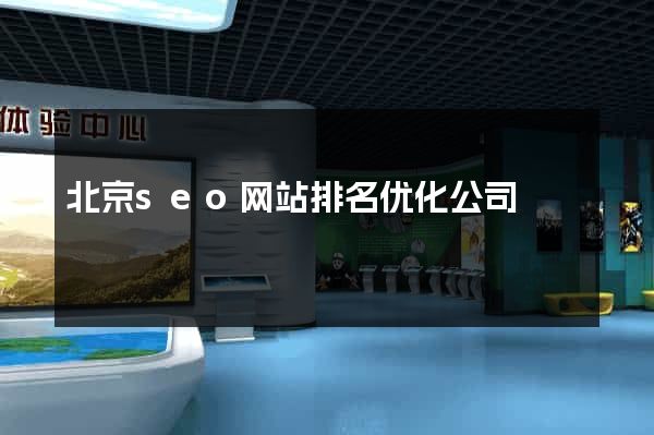 北京seo网站排名优化公司