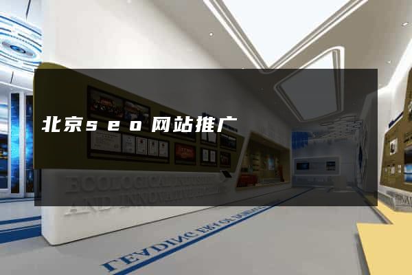 北京seo网站推广