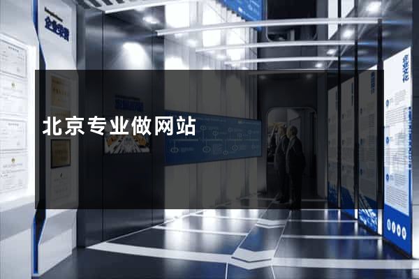 北京专业做网站