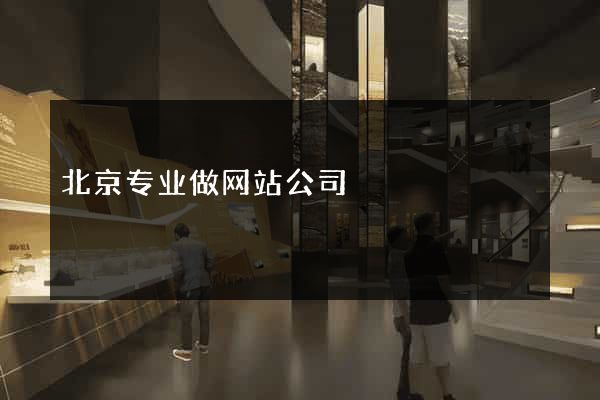 北京专业做网站公司