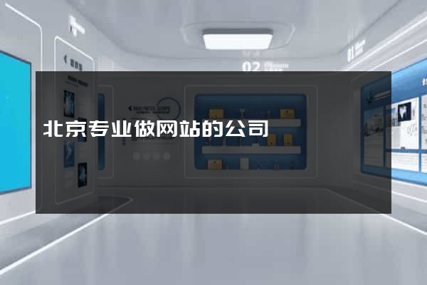 北京专业做网站的公司