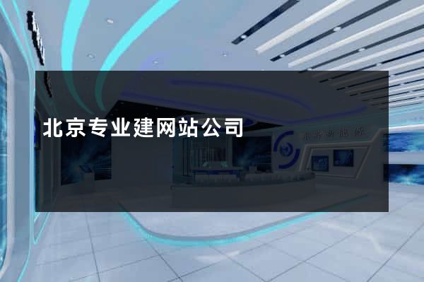 北京专业建网站公司
