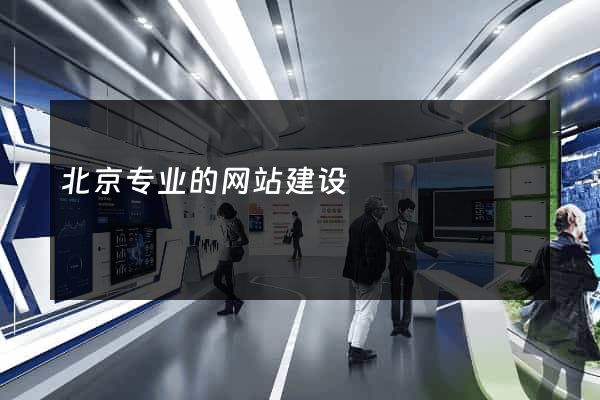 北京专业的网站建设