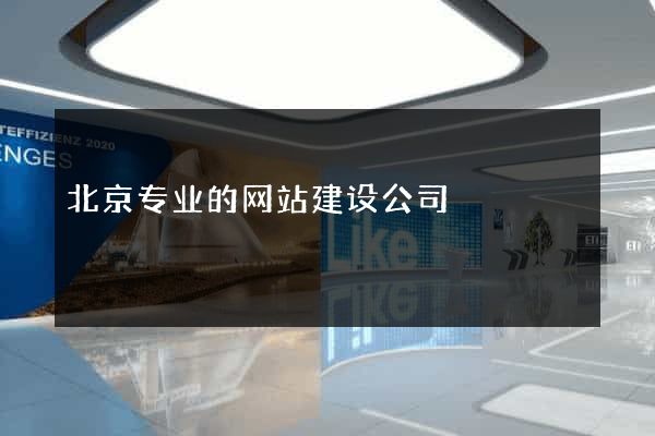 北京专业的网站建设公司