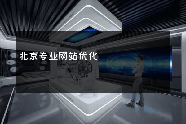 北京专业网站优化