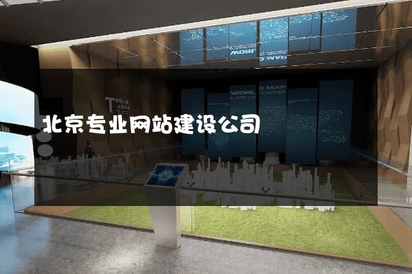 北京专业网站建设公司