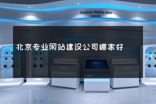 北京专业网站建设公司哪家好