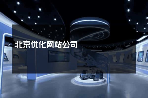 北京优化网站公司
