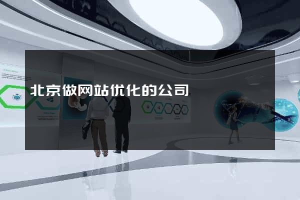 北京做网站优化的公司