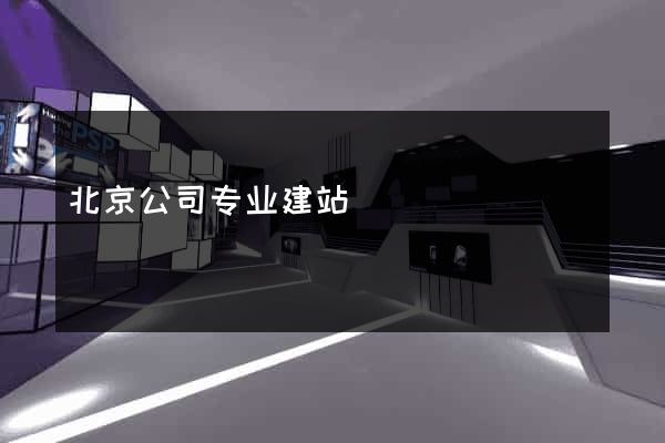 北京公司专业建站