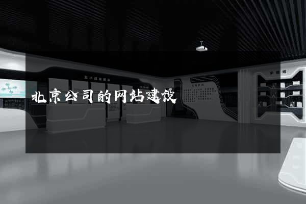 北京公司的网站建设