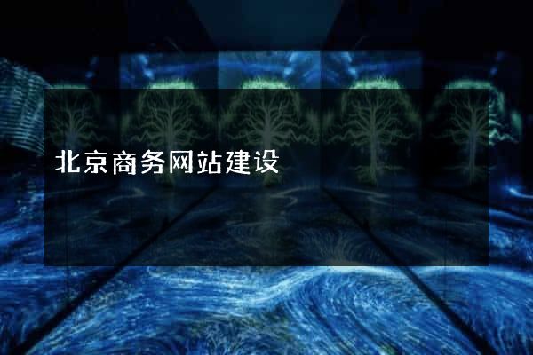 北京商务网站建设