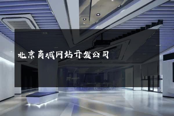 北京商城网站开发公司