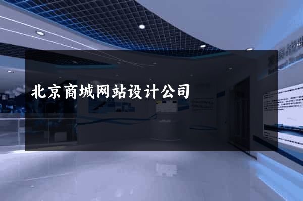 北京商城网站设计公司