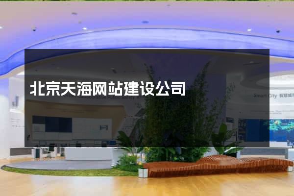 北京天海网站建设公司