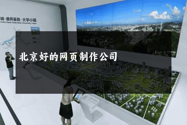 北京好的网页制作公司