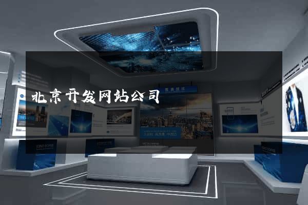 北京开发网站公司
