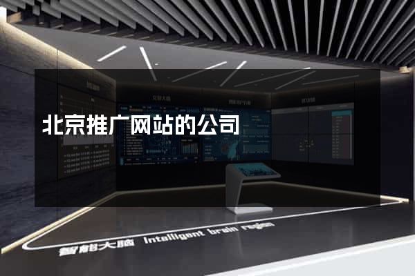 北京推广网站的公司