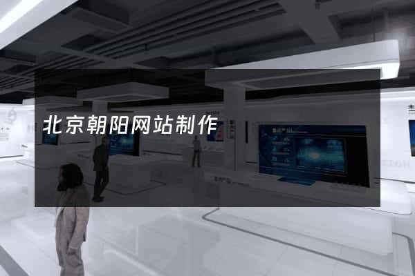 北京朝阳网站制作