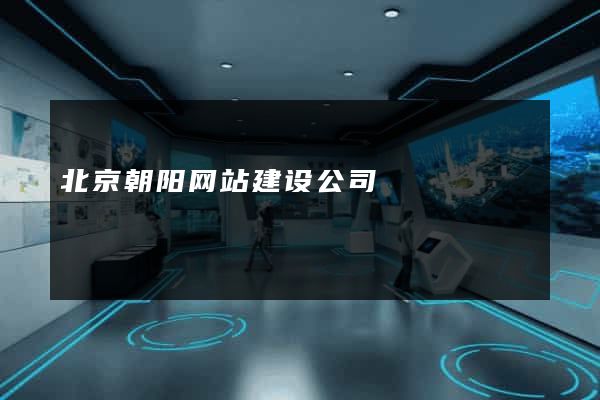 北京朝阳网站建设公司