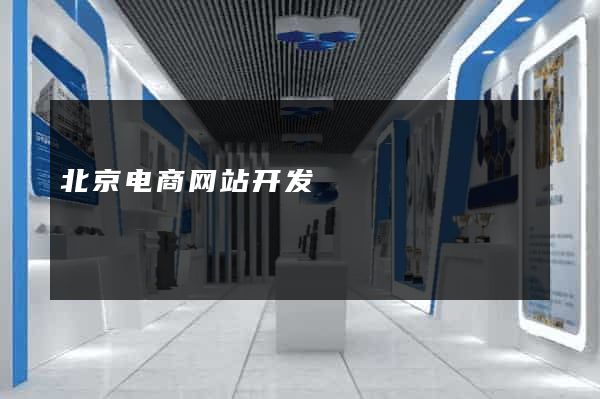 北京电商网站开发