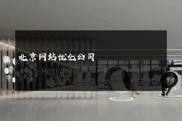 北京网站优化公司