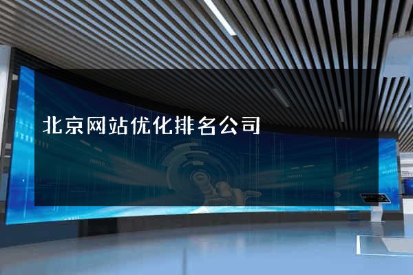 北京网站优化排名公司