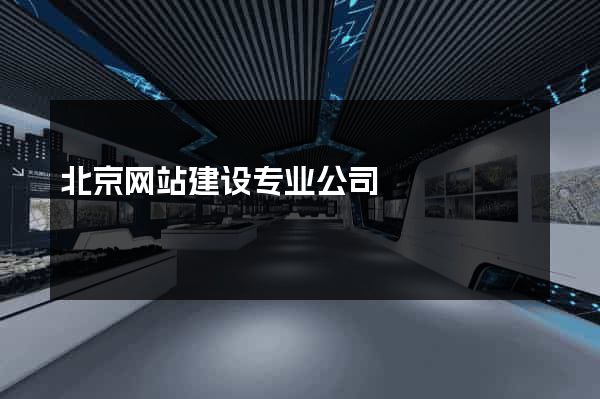 北京网站建设专业公司