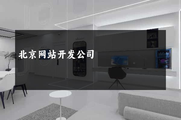 北京网站开发公司