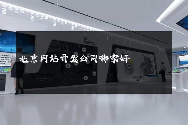北京网站开发公司哪家好