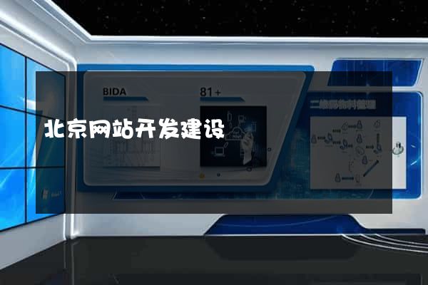 北京网站开发建设