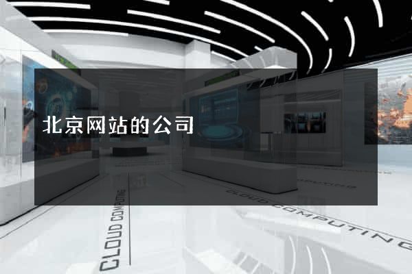 北京网站的公司