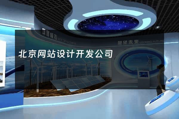 北京网站设计开发公司